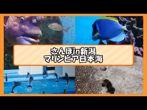 さんぽin新潟 #7「マリンピア日本海」