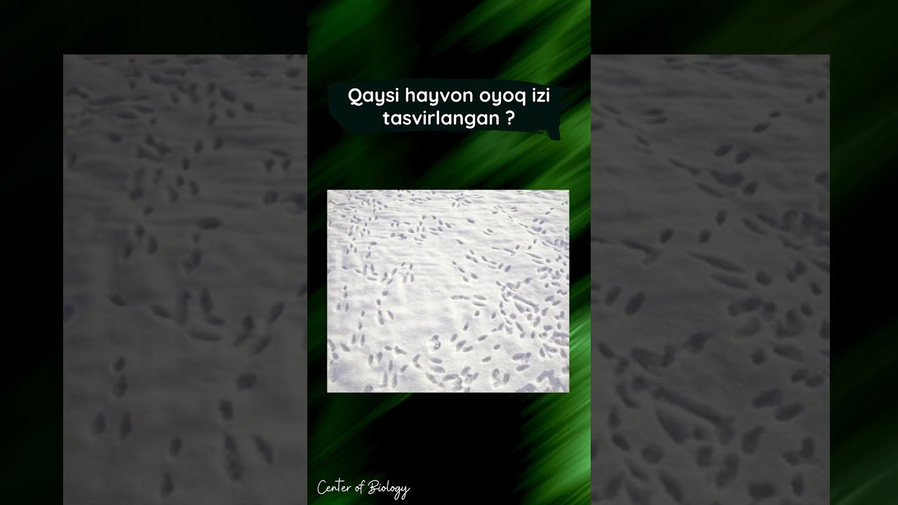 Internetda keksa erkaklar bilan porno tomosha qiling Kirovdan yalangoch qizlar