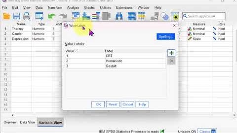 SPSS Basic Tutorial - Data View and Variable View