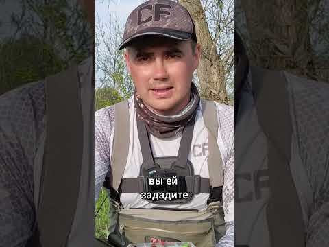 Лучшая приманка на голавля