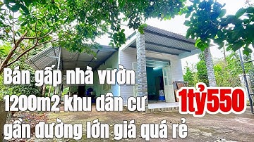 Chú Sáu kẹt tiền cần bán gấp nhà vườn 1200m2 vị trí quá đẹp gần đường lớn giá rẻ bèo 1tỷ550