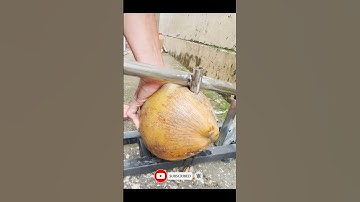 LẤY NƯỚC DỪA CỰC NHANH #shorts #top10sangtao