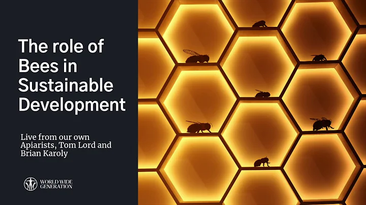 The role of Bees in Sustainable Development