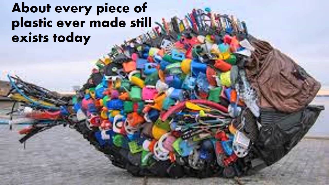 Facts On Plastic Pollution 1 YouTube