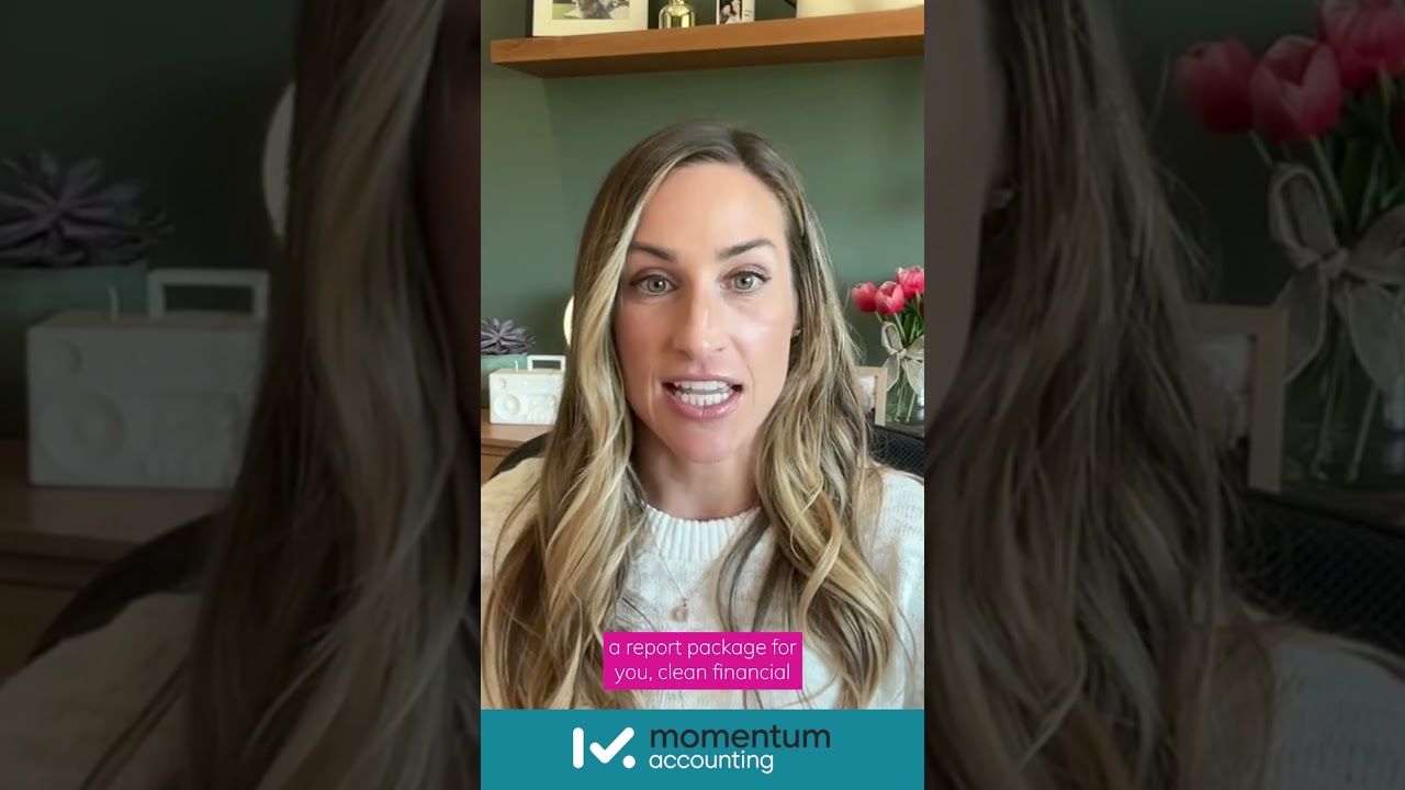 What Support Does Momentum Provide When Seeking Investors? | Momentum Accounting