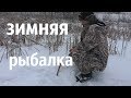 ЗИМНЯЯ РЫБАЛКА НА РЕКЕ ВОРОНЕЖ