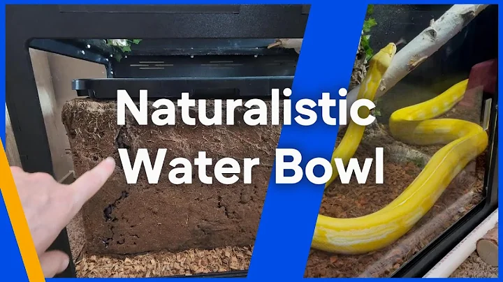 DIY Naturalistic Reptile Water Dish – Easy, Cheap & Realistic!