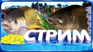 видео: РР4 СТРИМ • ФАРМ СЕРЕБРА на МЕДНОМ ОЗЕРЕ на АНАНАС и БУФФАЛО на АХТУБЕ! картинка: РР4 СТРИМ • ФАРМ СЕРЕБРА на МЕДНОМ ОЗЕРЕ на АНАНАС и БУФФАЛО на АХТУБЕ!