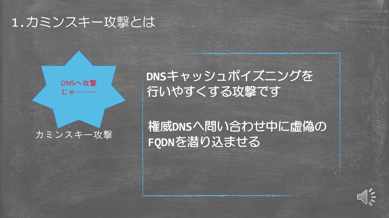 用語解説 カミンスキー攻撃について Youtube