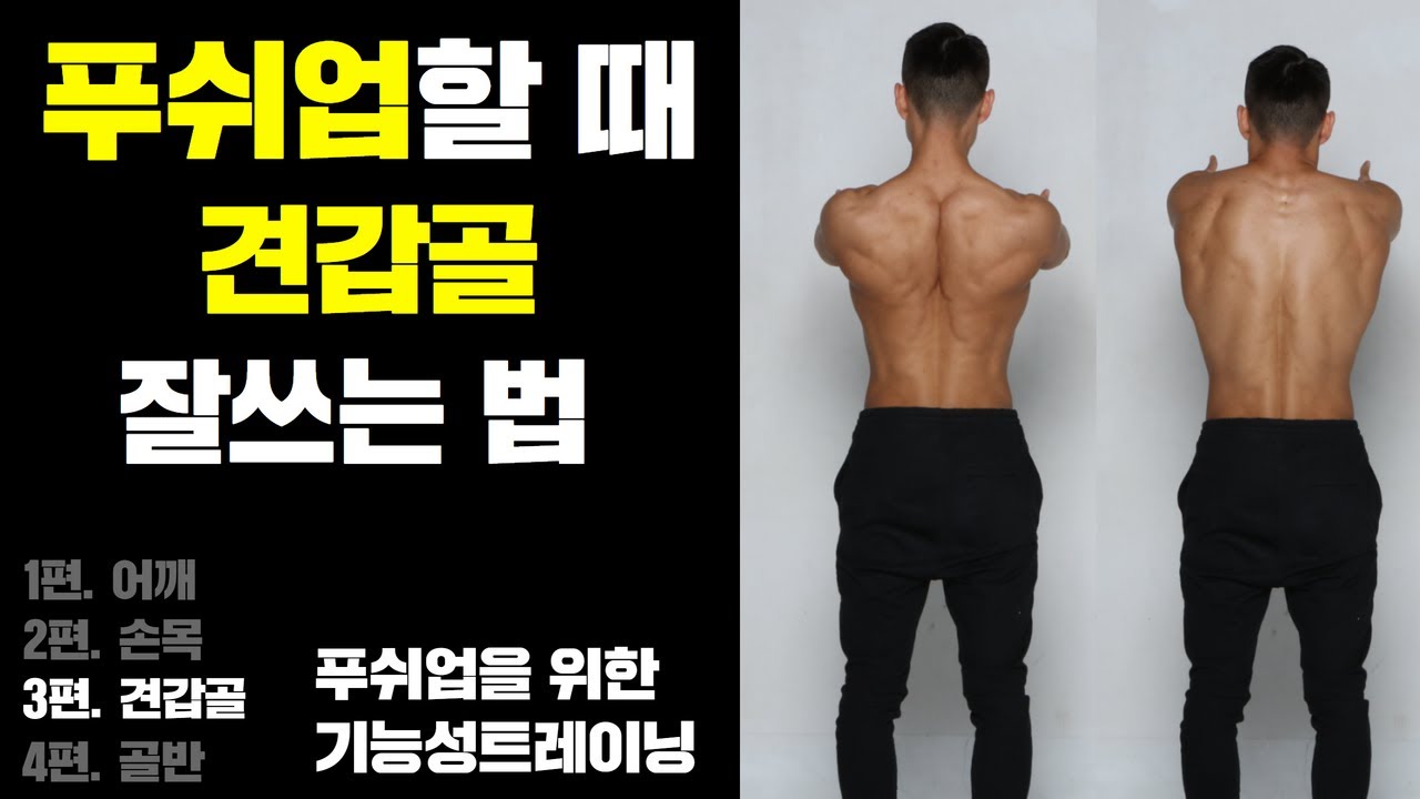 푸쉬업 할 때 견갑골 잘 쓰는법 l [푸쉬업 기능성트레이닝 3편-견갑골]