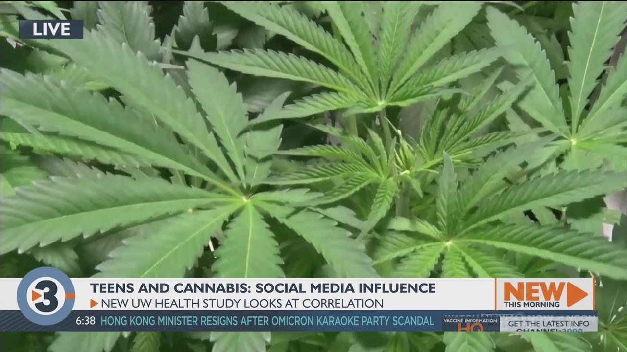 Teens and Cannabis: Social media influence