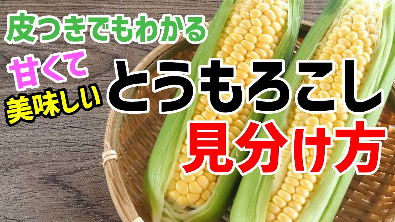 とうもろこしの見分け方！皮付きでもわかる甘くて美味しいトウモロコシ！ - YouTube