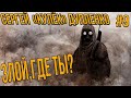 STALKER RP - СЕРГЕЙ КУЛЕК ДУПЛЕНКО В ПОИСКАХ ДОРОГОГО ДРУГА #9  СТАЛКЕР РП DAYZ MOD METMURR