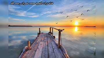 القارئ وليد شوقي أحمد ترتيل صلاة من سورتي الأنبياء والنازعات