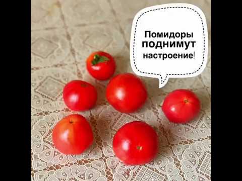 Томат или помидор как правильно. Помидор повышают настроение. Помидоры улучшают настроение. Бывают помидоры в шоколаде. Что полезного в помидорах.