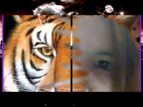 VSLO: Tangga - Ajariku Rahasiamu (Lyrics) | Vinyl Mode \u0026 Rain Ambiance #shorts