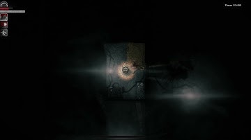 Line of sight mechanic in Darkwood