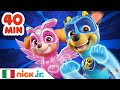 Paw patrol  la squadra dei cuccioli  40 minuti dei nuovissimi episodi  nick jr