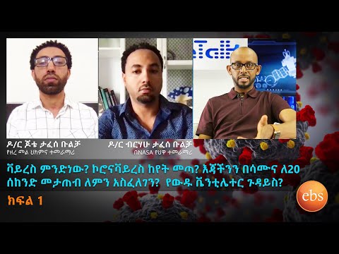 ቪዲዮ: በሩሲያ ውስጥ ለአካባቢ ጥበቃ ተስማሚ ከተማ ምንድነው?