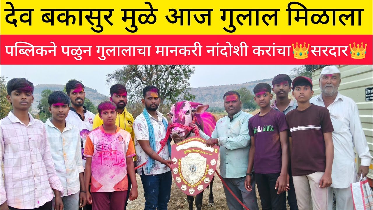 देव बकासुर मुळे आज गुलाल मिळाला नांदोशी करांचा👑 सरदार 👑 संपूर्ण मुलाखत पब्लिकने पळुन गुलालाचा मानकरी