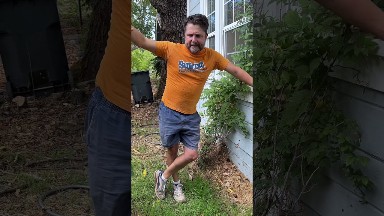 Математика фей 