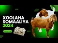 SIDEE LOOGA FAA IDEYSAN KARAA XOOLAHA SOOMAALIYA SIDEE LOOGA FAA IDEYSAN KARAA XOOLAHA SOOMAALIYA