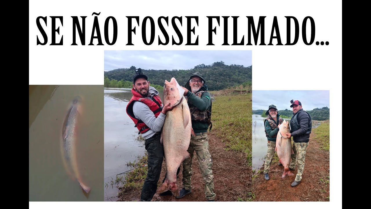 CARPA CABEÇUDA GIGANTE , represa Foz do Areia.