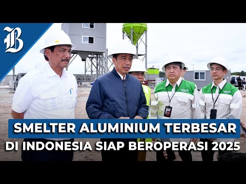 Intip Progres Smelter Terbesar di Indonesia Milik Boy Thohir