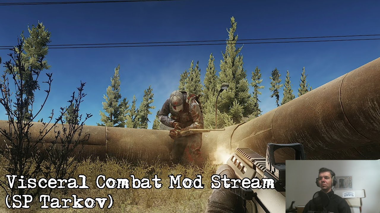 Visceral Combat Mod Stream (SP Tarkov)