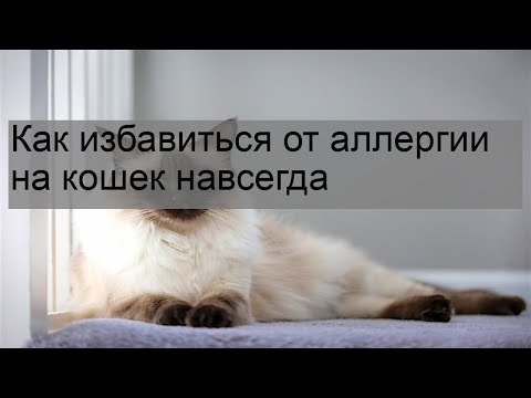 Видео: 5 способов избавить вашу кошку от аллергии этой весной