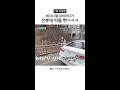 [미방분] 전봇대 조심!! | #구기동프렌즈