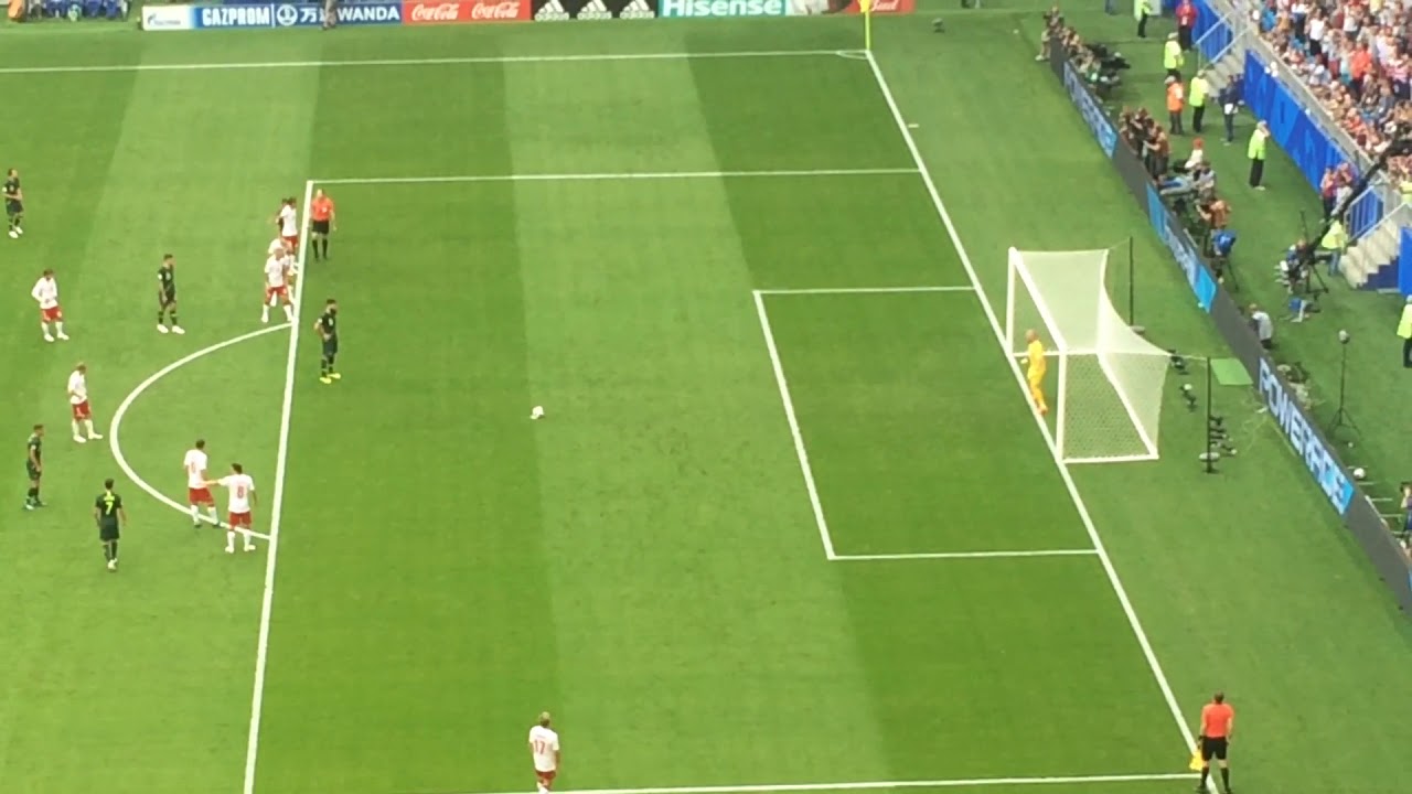 Australia vs Denmark goal and celebration FIFA worldcup2018