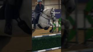 Jammyy 😘 || Video credits - @elphick.event.ponies #shorts
