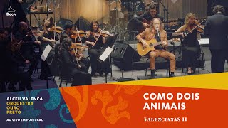 Alceu Valença e Orquestra Ouro Preto - Como Dois Animais (Ao Vivo em Portugal)