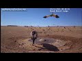 Namibiacam goshawk hunting sandgrouse 4 november 2021