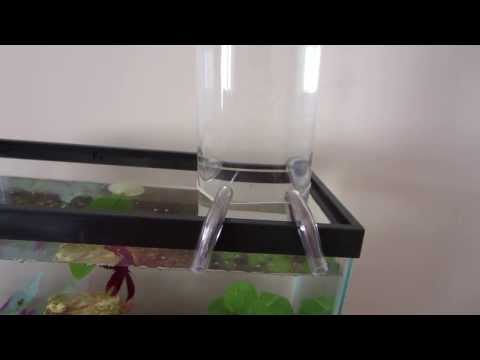 New stainless feeder for upside down fish tank | Doovi