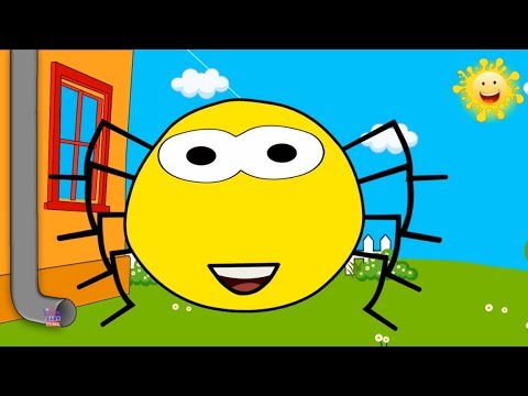 le incy Wincy araignée | rimes pour enfants | araignée chanson pour