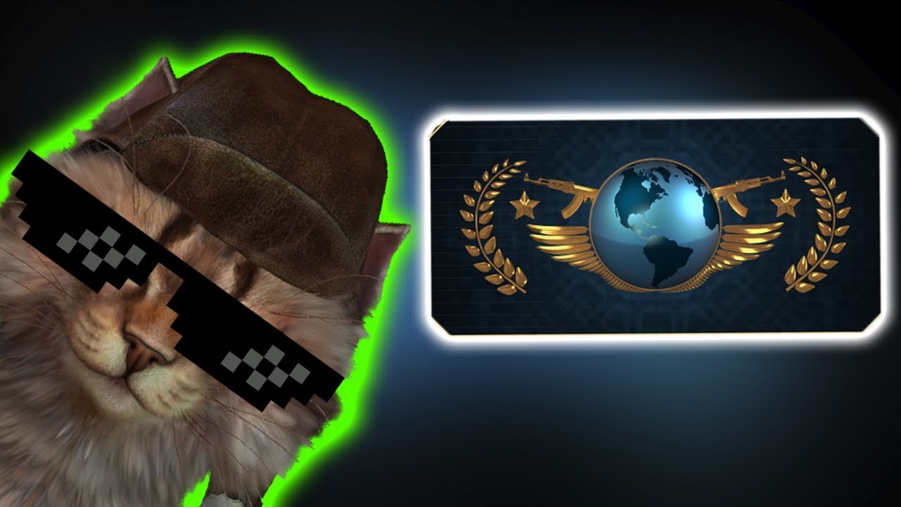 Phat Cat Global