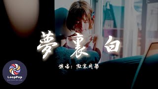 傲寒同學 - 夢里白『青花碗里情常在，月下共飲醉心懷。』【動態歌詞 | Pinyin Lyrics】【LoopPop MUSIC】