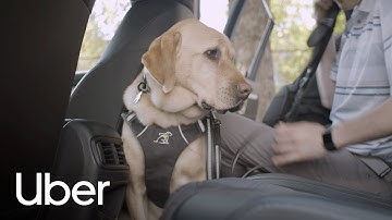 Equal access to transportation for all | Uber