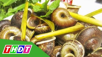 Đặc sản ốc núi vào mùa | THDT