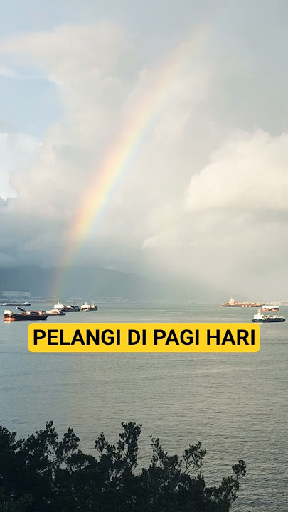 Pelangi  #videoshort  #pelangi