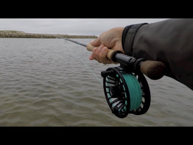 Echo Bravo Saltwater Fly Reel Review 