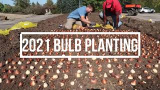 2021 Bulb Planting - Dayton Nursery