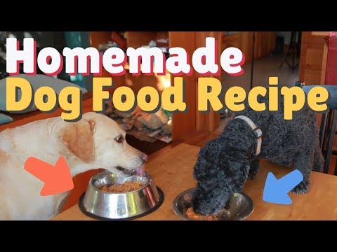 dog-dinner-date:-homemade-dog-food