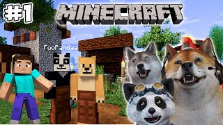 FINALLY The Hilarious Trio Begins Their First Survival Adventure! - Minecraft Survival #1