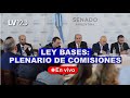 En vivo ley bases i contina el debate en el senado  plenario de comisiones