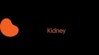 2019 KIDNEY WALK