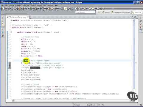 VTC Player   Advanced Java Programming Java SE 7, Data Types