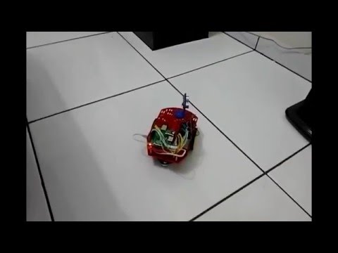 Projeto do leitor: AMR (Autonomous Mobile Robot) com Raspberry Pi A+